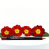 Hot & Spicy - Lip Liner Isabella Grace Best Moisturizing Lipstick Pro-Age Proage Older natural