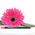 Pretty in Pink - Lip Liner Isabella Grace Best Moisturizing Lipstick Pro-Age Proage Older natural